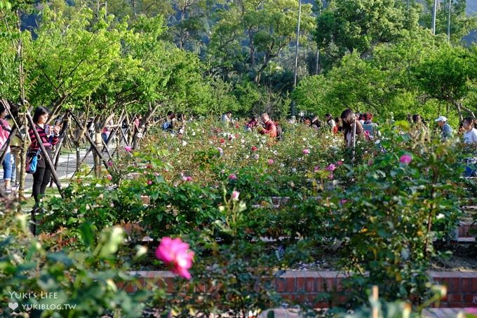 台北免費親子景點【士林官邸公園】玫瑰花園開好開滿×約會拍照下午茶好去處(捷運士林站) - yuki.tw