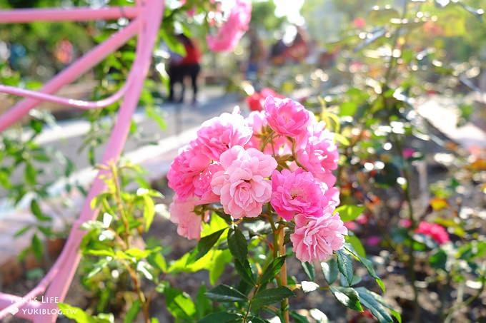 台北免費親子景點【士林官邸公園】玫瑰花園開好開滿×約會拍照下午茶好去處(捷運士林站) - yuki.tw