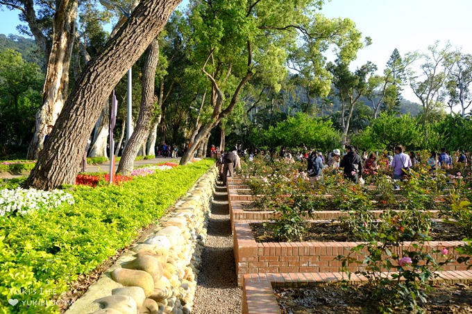 台北免費親子景點【士林官邸公園】玫瑰花園開好開滿×約會拍照下午茶好去處(捷運士林站) - yuki.tw