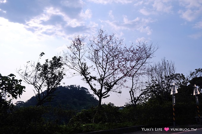 新北市賞櫻景點【樹林櫻花林木棧道】賞櫻密境(2/22花況開3成、大同山青龍嶺爬山散步步道、保安街二段45巷上去) - yuki.tw