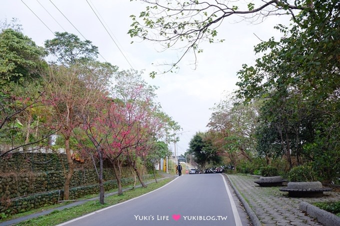 新北市賞櫻景點【樹林櫻花林木棧道】賞櫻密境(2/22花況開3成、大同山青龍嶺爬山散步步道、保安街二段45巷上去) - yuki.tw