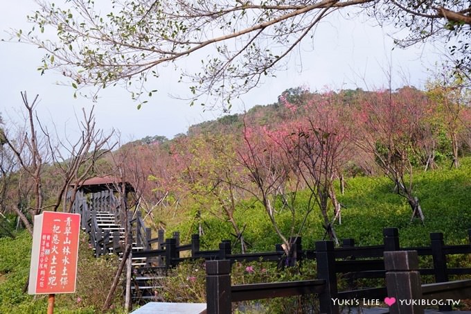 新北市賞櫻景點【樹林櫻花林木棧道】賞櫻密境(2/22花況開3成、大同山青龍嶺爬山散步步道、保安街二段45巷上去) - yuki.tw