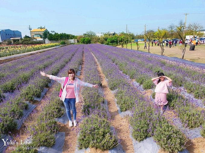 桃園景點【向陽農場】親子景點～薰衣草、向日葵、金魚草超美花海×兒童遊樂設施×餵羊咩咩 - yuki.tw