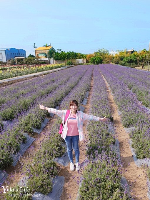 桃園景點【向陽農場】親子景點～薰衣草、向日葵、金魚草超美花海×兒童遊樂設施×餵羊咩咩 - yuki.tw