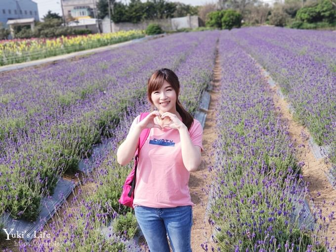 桃園景點【向陽農場】親子景點～薰衣草、向日葵、金魚草超美花海×兒童遊樂設施×餵羊咩咩 - yuki.tw