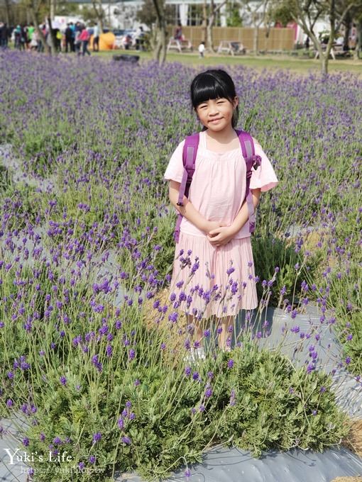 桃園景點【向陽農場】親子景點～薰衣草、向日葵、金魚草超美花海×兒童遊樂設施×餵羊咩咩 - yuki.tw