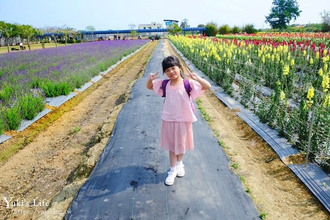 桃園景點【向陽農場】親子景點～薰衣草、向日葵、金魚草超美花海×兒童遊樂設施×餵羊咩咩 - yuki.tw