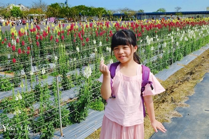 桃園景點【向陽農場】親子景點～薰衣草、向日葵、金魚草超美花海×兒童遊樂設施×餵羊咩咩 - yuki.tw