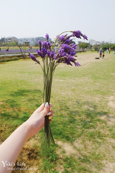 桃園景點【向陽農場】親子景點～薰衣草、向日葵、金魚草超美花海×兒童遊樂設施×餵羊咩咩 - yuki.tw