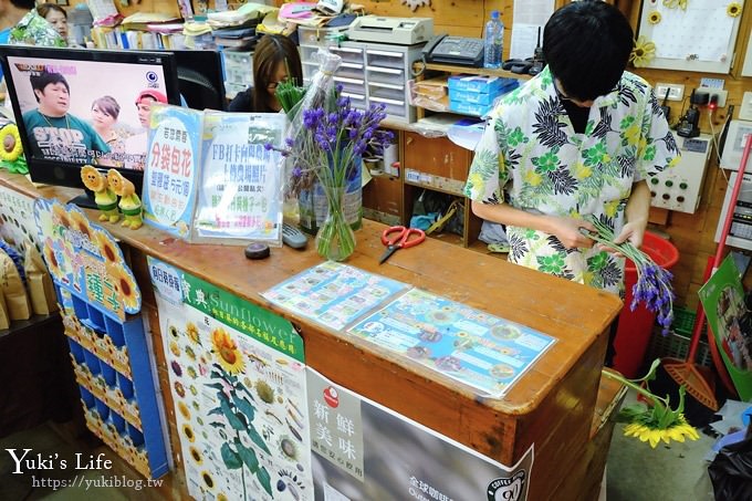 桃園景點【向陽農場】親子景點～薰衣草、向日葵、金魚草超美花海×兒童遊樂設施×餵羊咩咩 - yuki.tw