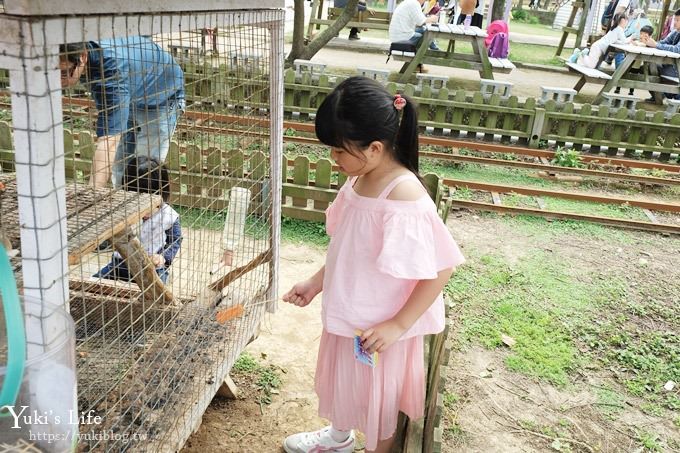 桃園景點【向陽農場】親子景點～薰衣草、向日葵、金魚草超美花海×兒童遊樂設施×餵羊咩咩 - yuki.tw