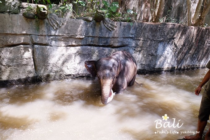 峇里島必訪景點【野生動物園Bali Safari & Marine Park】冷氣遊園車好舒適呀!(園內用餐) - yuki.tw