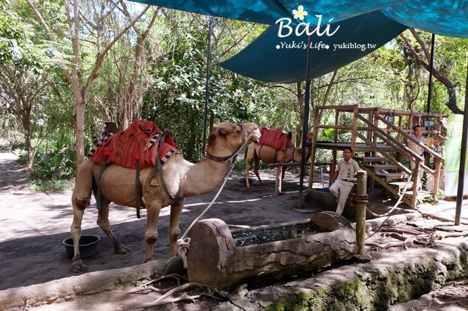 峇里島必訪景點【野生動物園Bali Safari & Marine Park】冷氣遊園車好舒適呀!(園內用餐) - yuki.tw