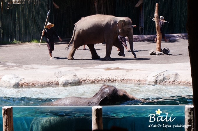 峇里島必訪景點【野生動物園Bali Safari & Marine Park】冷氣遊園車好舒適呀!(園內用餐) - yuki.tw