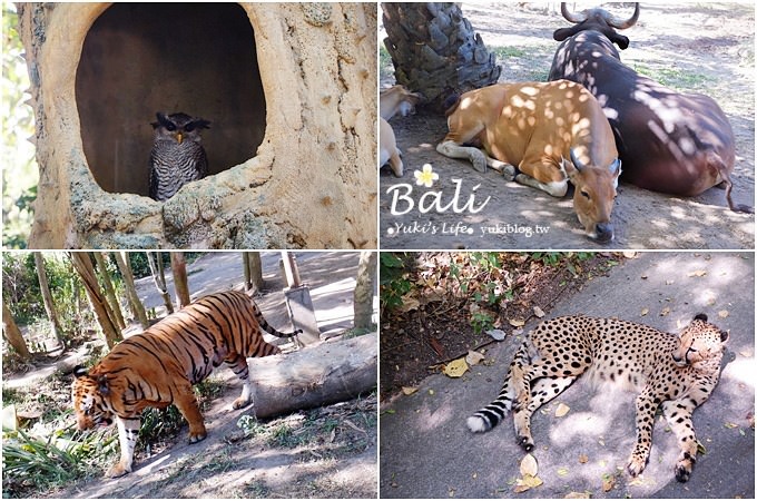 峇里島必訪景點【野生動物園Bali Safari & Marine Park】冷氣遊園車好舒適呀!(園內用餐) - yuki.tw