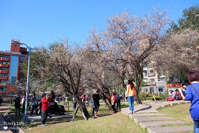 台北賞梅打卡點【志成公園】熱門梅花攝影地點×溜滑梯免費親子景點 - yuki.tw