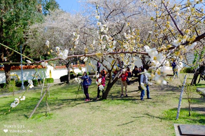 台北賞梅打卡點【志成公園】熱門梅花攝影地點×溜滑梯免費親子景點 - yuki.tw