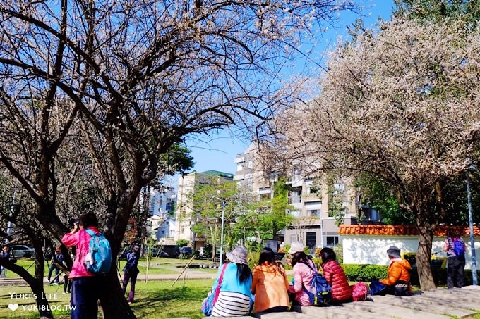 台北賞梅打卡點【志成公園】熱門梅花攝影地點×溜滑梯免費親子景點 - yuki.tw