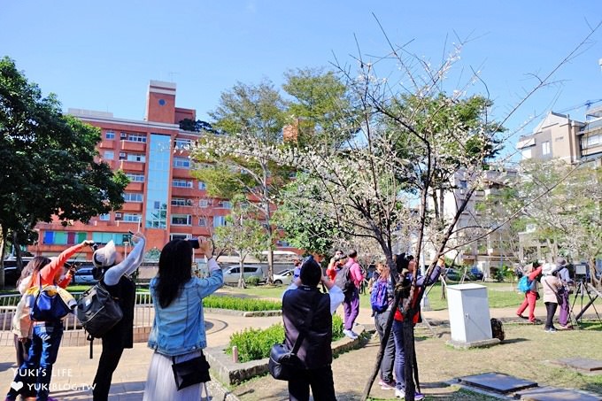 台北賞梅打卡點【志成公園】熱門梅花攝影地點×溜滑梯免費親子景點 - yuki.tw