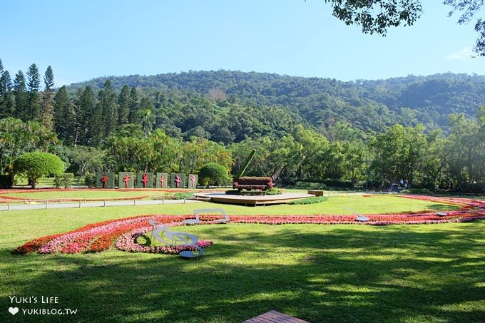 台北賞梅打卡點【志成公園】熱門梅花攝影地點×溜滑梯免費親子景點 - yuki.tw