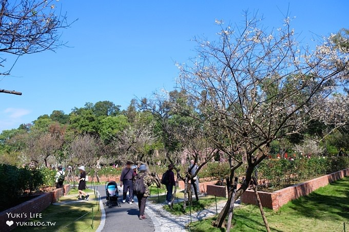 台北賞梅打卡點【志成公園】熱門梅花攝影地點×溜滑梯免費親子景點 - yuki.tw