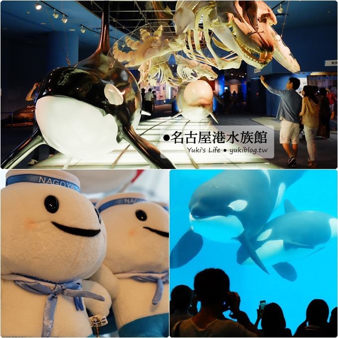 日本名古屋景點〈名古屋港水族館〉虎鯨寶寶.海豚表演超可愛❤ - yuki.tw