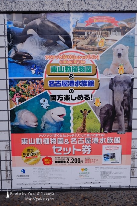 日本名古屋景點〈名古屋港水族館〉虎鯨寶寶.海豚表演超可愛❤ - yuki.tw