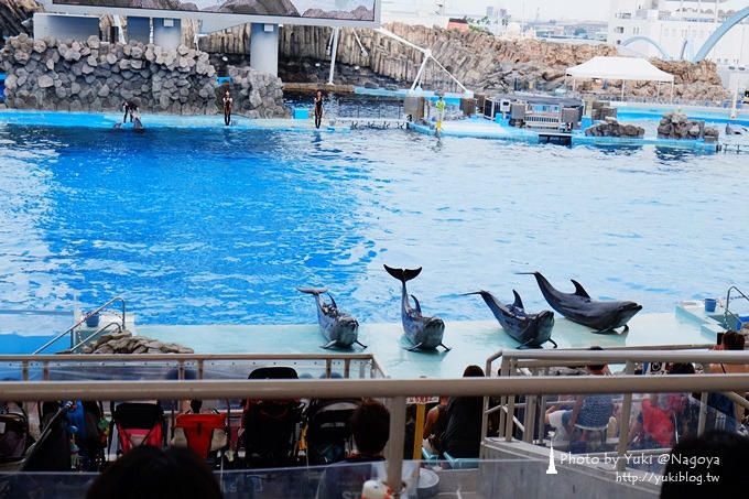 日本名古屋景點〈名古屋港水族館〉虎鯨寶寶.海豚表演超可愛❤ - yuki.tw