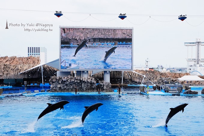 日本名古屋景點〈名古屋港水族館〉虎鯨寶寶.海豚表演超可愛❤ - yuki.tw