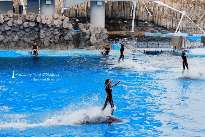 日本名古屋景點〈名古屋港水族館〉虎鯨寶寶.海豚表演超可愛❤ - yuki.tw