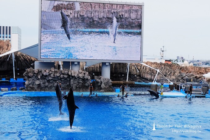 日本名古屋景點〈名古屋港水族館〉虎鯨寶寶.海豚表演超可愛❤ - yuki.tw