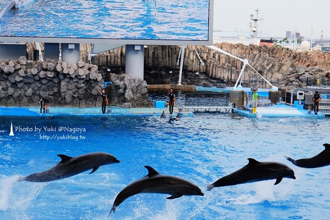 日本名古屋景點〈名古屋港水族館〉虎鯨寶寶.海豚表演超可愛❤ - yuki.tw