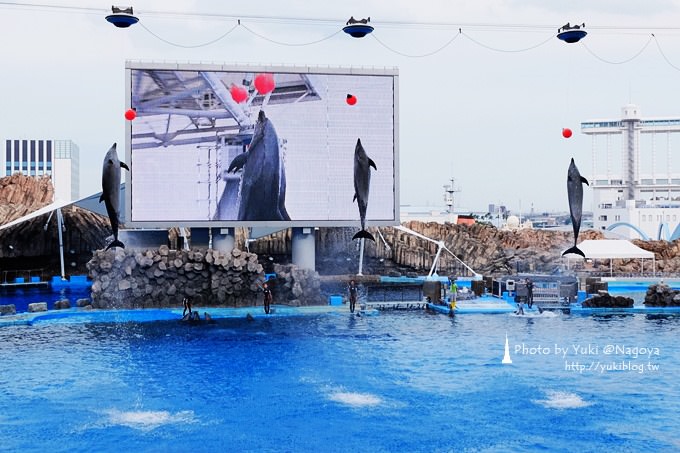 日本名古屋景點〈名古屋港水族館〉虎鯨寶寶.海豚表演超可愛❤ - yuki.tw