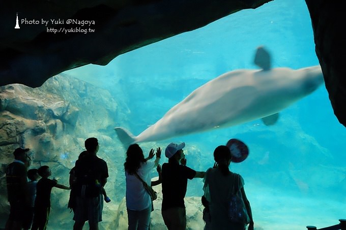 日本名古屋景點〈名古屋港水族館〉虎鯨寶寶.海豚表演超可愛❤ - yuki.tw