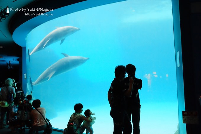 日本名古屋景點〈名古屋港水族館〉虎鯨寶寶.海豚表演超可愛❤ - yuki.tw