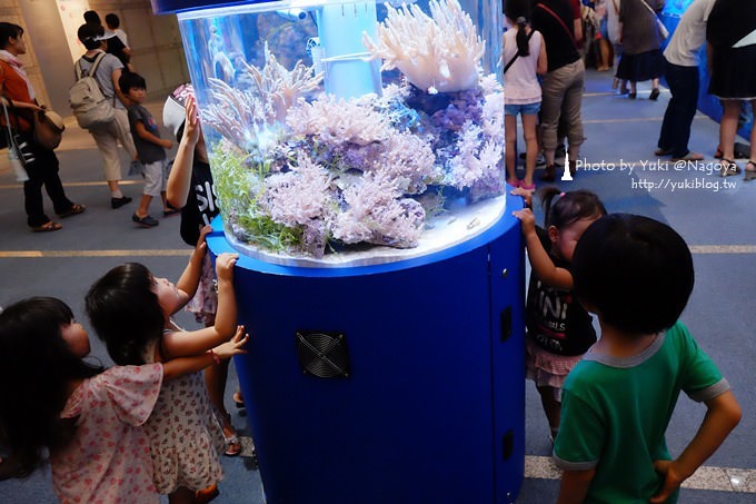 日本名古屋景點〈名古屋港水族館〉虎鯨寶寶.海豚表演超可愛❤ - yuki.tw