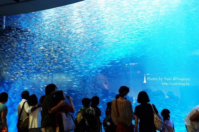 日本名古屋景點〈名古屋港水族館〉虎鯨寶寶.海豚表演超可愛❤ - yuki.tw