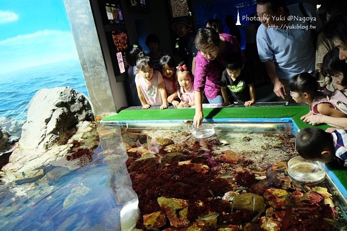 日本名古屋景點〈名古屋港水族館〉虎鯨寶寶.海豚表演超可愛❤ - yuki.tw