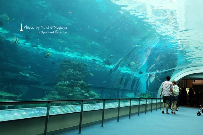 日本名古屋景點〈名古屋港水族館〉虎鯨寶寶.海豚表演超可愛❤ - yuki.tw