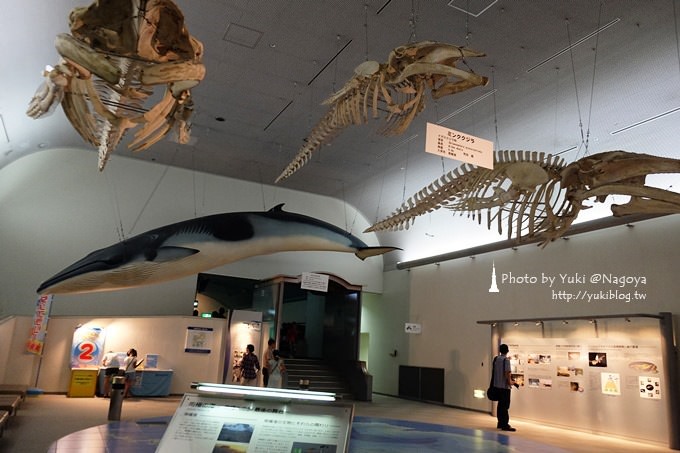 日本名古屋景點〈名古屋港水族館〉虎鯨寶寶.海豚表演超可愛❤ - yuki.tw