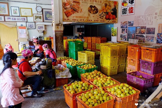 新竹景點【味衛佳柿餅觀光農場】新埔推薦必拍柿餅棚架超美！免門票 - yuki.tw