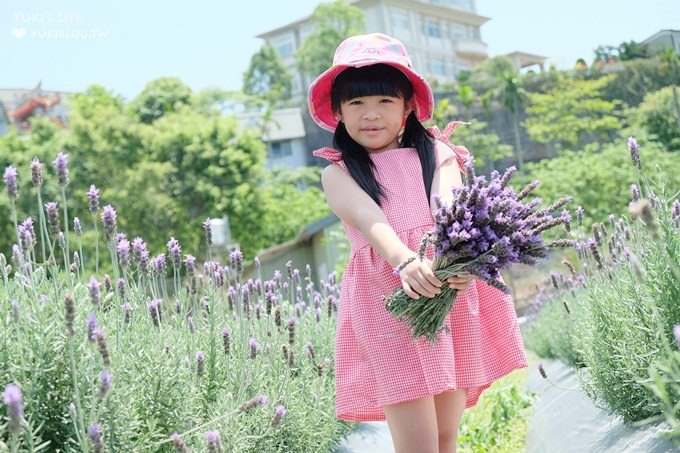 苗栗景點【葛瑞絲香草田】頭屋免費七千坪薰衣草花園×芳香浪漫異國風情 - yuki.tw