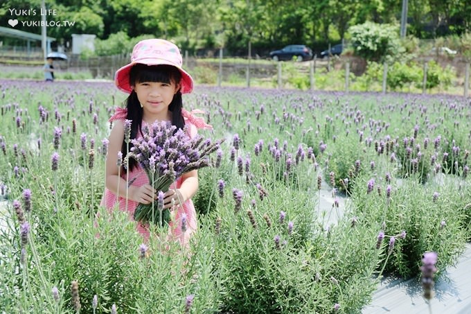 苗栗景點【葛瑞絲香草田】頭屋免費七千坪薰衣草花園×芳香浪漫異國風情 - yuki.tw