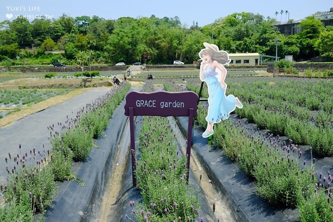 苗栗景點【葛瑞絲香草田】頭屋免費七千坪薰衣草花園×芳香浪漫異國風情 - yuki.tw