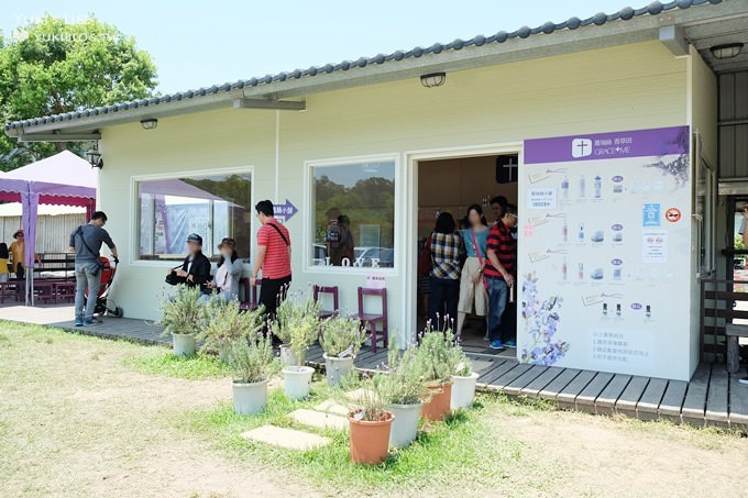 苗栗景點【葛瑞絲香草田】頭屋免費七千坪薰衣草花園×芳香浪漫異國風情 - yuki.tw