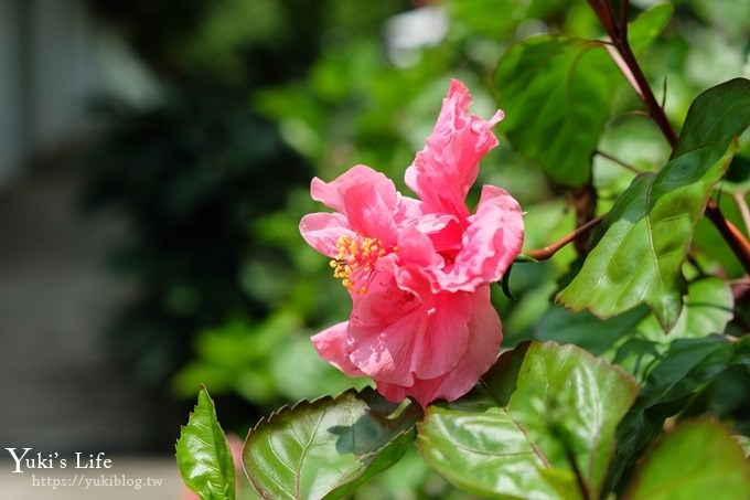 免費！雲林景點【雅聞峇里海岸】峇里島沙灘親子玩沙好去處×全新彩繪超好拍～網美一日遊 - yuki.tw