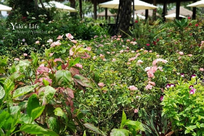 免費！雲林景點【雅聞峇里海岸】峇里島沙灘親子玩沙好去處×全新彩繪超好拍～網美一日遊 - yuki.tw