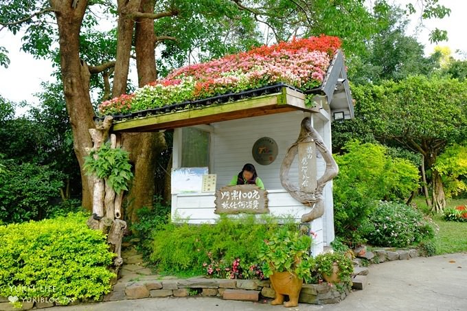 苗栗景點【花露休閒農場】大草皮親子景點 薰衣草花田拍照趣×花花草草親子好去處(有小火車) - yuki.tw