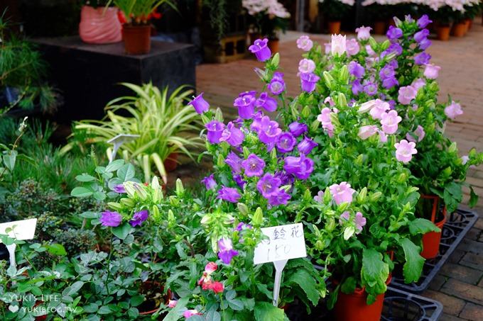 苗栗景點【花露休閒農場】大草皮親子景點 薰衣草花田拍照趣×花花草草親子好去處(有小火車) - yuki.tw