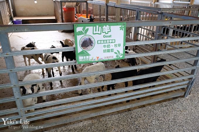 高雄景點【淨園機場咖啡休閒農場】南洋風賞飛機景觀餐廳×超嗨零距離動物園×親子聚餐好去處 - yuki.tw